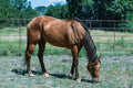 Jess Hi Maintenance Embryo
